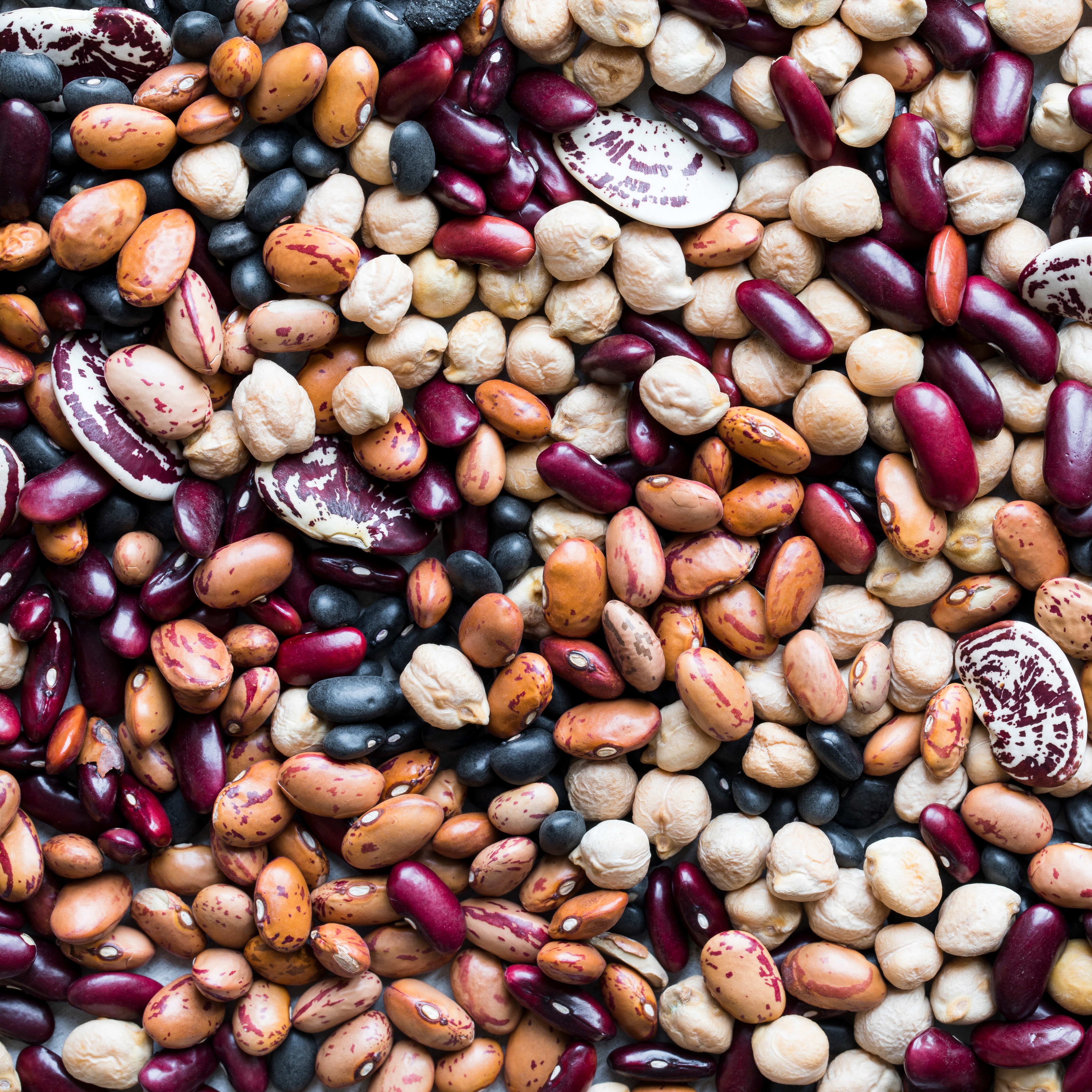 A variety of colorful beans scattered on a surface.