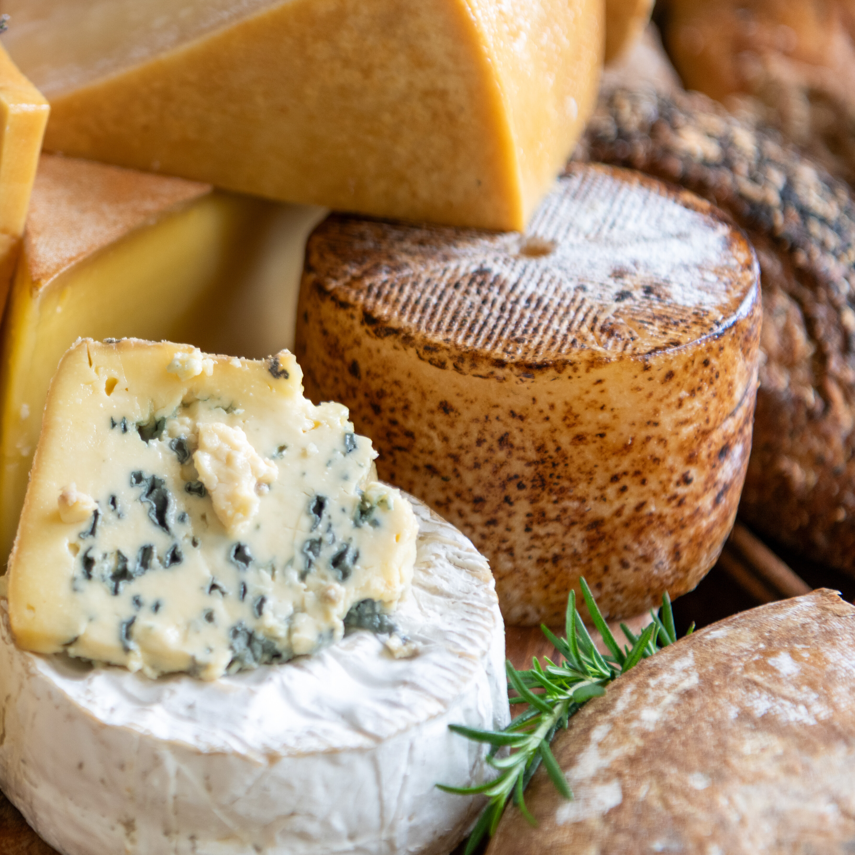 An assortment of various cheeses, including blue cheese and round cheeses, on a wooden board.